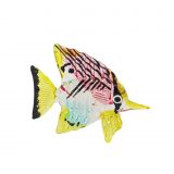 Glass Butterfly Fish Small