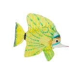 Glass Butterfly Fish Large  