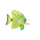 Glass Butterfly Fish Small