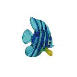 Glass Butterfly Fish Small