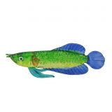 Glass Arawana Fish Green Large