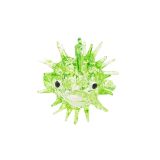 Glass Puffer Fish Green