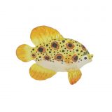 Glass Gold Dot Fish Large