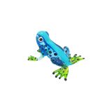 Glass Frog Blue