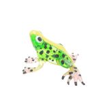 Glass Frog Green