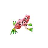 Glass Frog Red