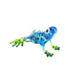 Glass Frog Small