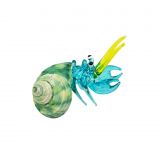 Glass Hermit Crab Blue