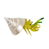 Glass Hermit Crab Yellow