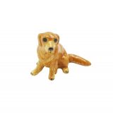 Golden Retriever Sitting