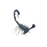 Glass Black Scorpion Small