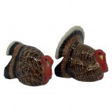 Turkey Set of 2