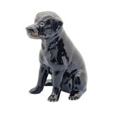 Money Box Black Labrador