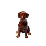 Money Box - Brown Labrador