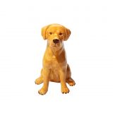 Money Box Golden Labrador