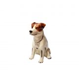 Money Box -Jack Russell