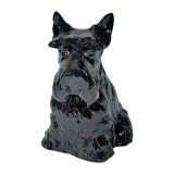 Money Box - Black Scottish Dog