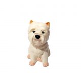 Money Box - Westie