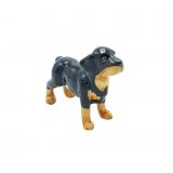 Rottweiler Standing