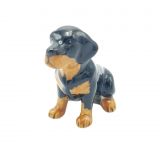 Rottweiler Sitting