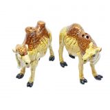 Salt & Pepper Camel