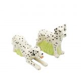 Salt & Pepper Dalmatian