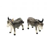 Salt & Pepper Donkey