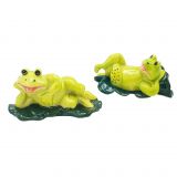 Salt & Pepper Frog