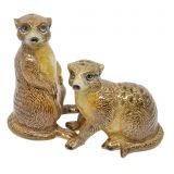 Salt & Pepper Meerkat