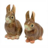 Salt & Pepper Brown Rabbit