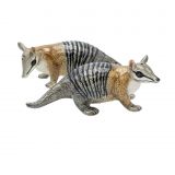 Salt & Pepper Numbat