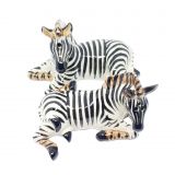 Salt & Pepper Zebra