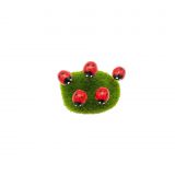 Red Lady Bird Pin-5 Set