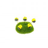 Yellow Lady Bird Pin-5 Set