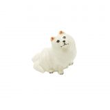 Japanese Spitz Sitting