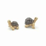 Turtle Small Set of 2